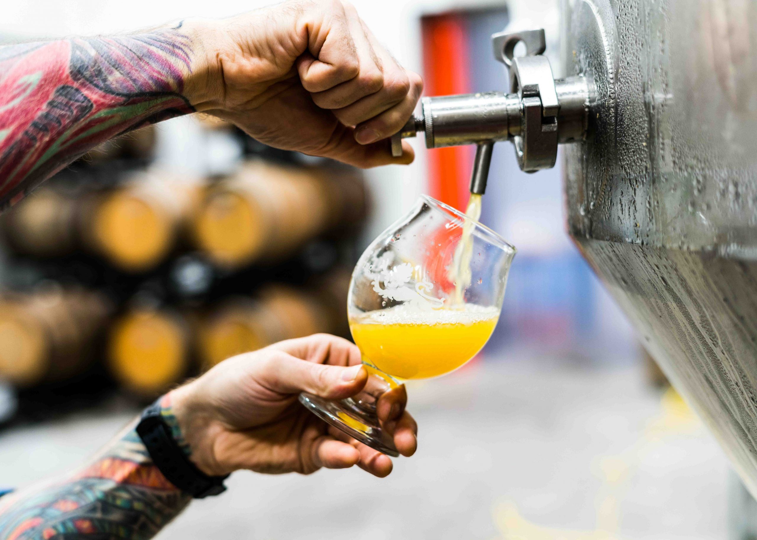 Pouring a beer after setting up a home brewing kit