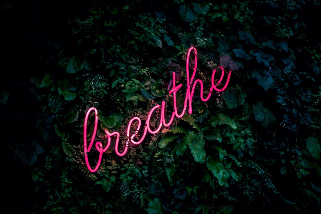 Neon word 'breathe', to introduce the best meditation podcasts of 2020, against green foliage