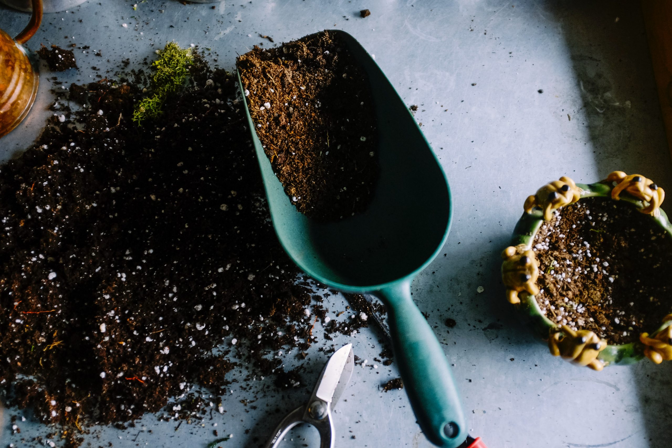 Picture of a grene shovel with fulvic acid minerals inside and scattered on the table