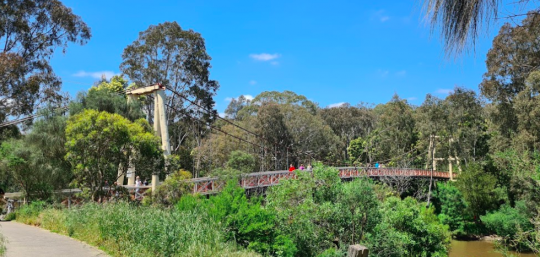 Yarra Bend park in Fairfield, with the bridge crossing the river