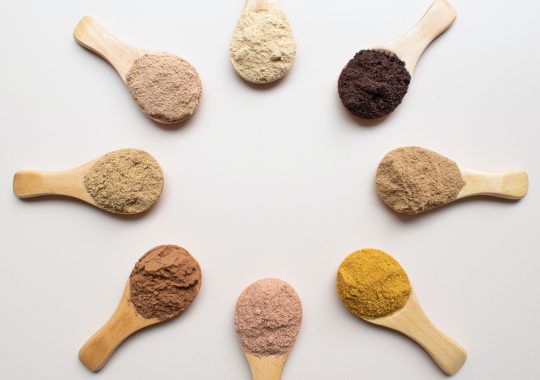 Picture of 8 spoons in a circle, each containing different protein powders and Nutra Organics collagen powder