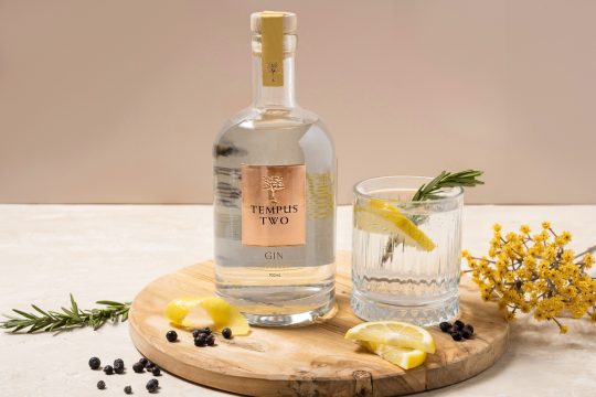 Picture of a Tempus Two Prosecco gin bottle and a glass of Tempus Two gin with a lemon wedge inside