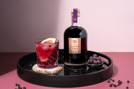 Picture of a Tempus Two Shiraz gin bottle, with a glass of Tempus Two gin and a lemon wedge and blueberries