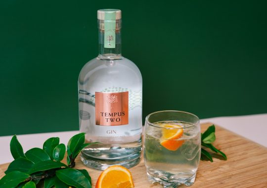 Picture of a Tempus Two gin bottle, with a glass of gin and organe slice in the glass and green garnish