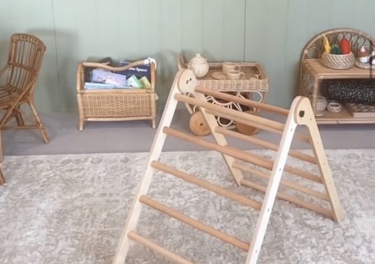 Picture of the Kmart climbing frame in a play room, with a rug underneath and a greenwall in the background and other toys