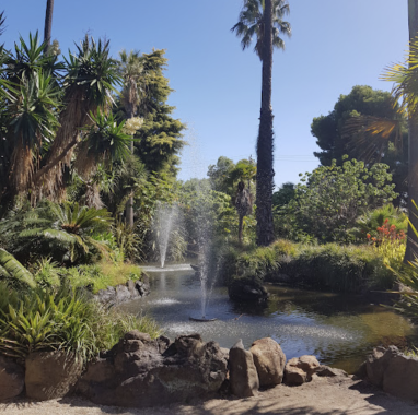 Picture of the Williamstown Botanic Gardens, with the ponds and water feature in the centre of a tropical display of plants