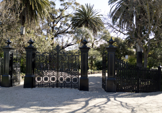 Picture of the Williamstown Botanic Gardens gates, black and iron with a classic style and the palms and trees visible beyond the gate