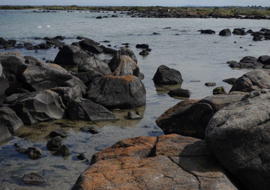 Picture of the rock pools that frame Williamstown Beach in Victoria