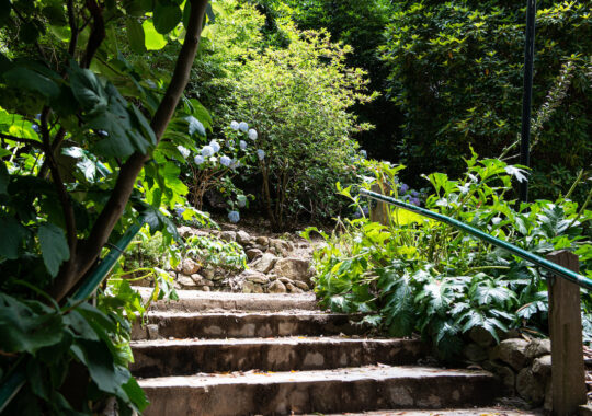 Picture of the 1000 Steps Dandenong Melbourne Waslk