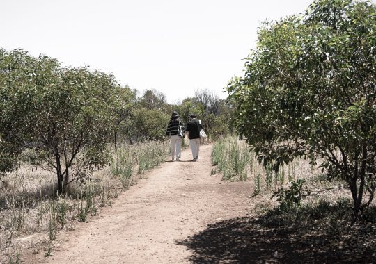 Picture of Werribee Gorge circuit track with a natural path in the middle of the picture and bushy, natural surrounds on either side as two hikers walk down the path