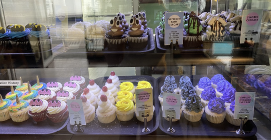 Picture of vegan cupcakes at Mister Nice Guy's bakeshop, with different colours and food on-top