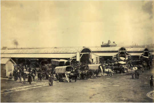 Black and white picture of a the South Melbourne Melbourne in 1889, with horse-drawn carriages out the front of the market