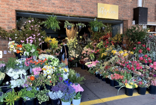 Picture of the Azalea Flowers shopfront at South Melbourne Market, with flowers in buckets spilling onto the pathway