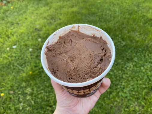 Picture of Good Vibes vegan ice cream chocolate flavour, with green grass in the background