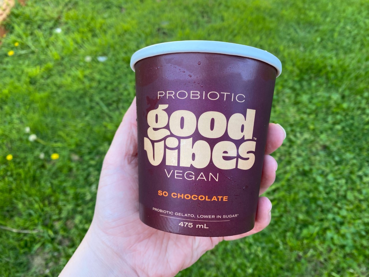 Picture of a pint of Good Vibes Gelato in a chocolate flavour, available as a dairy or vegan ice cream