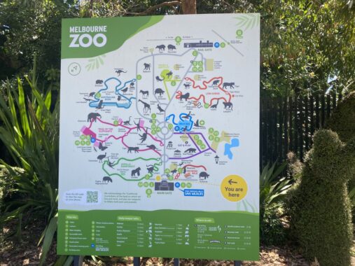 Picture of a Melbourne Zoo display board which shows all the area of the zoo with trees in the background