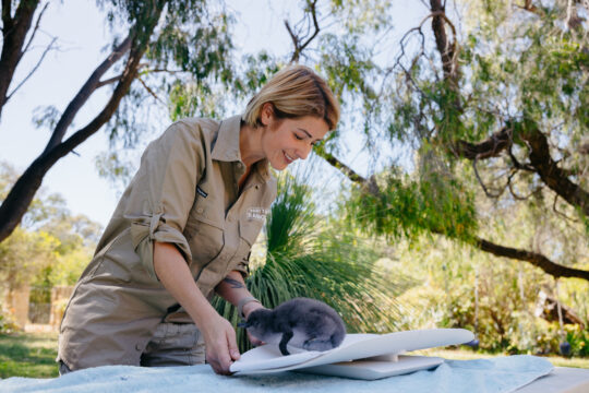 Picture of a Part Time Rangers team member supporting a penguin