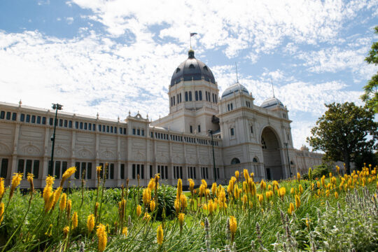 Picture of the Carlton Gardens Melbourne, with daffodils lining the Exhibition Building