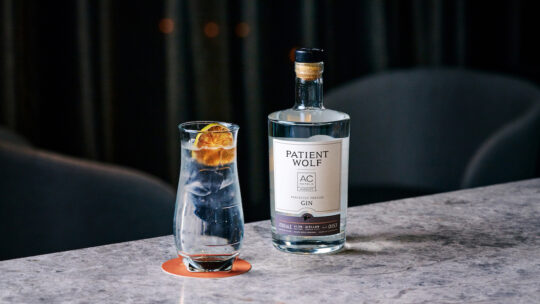 Picture of Patient Wolf Gin bottle and glass at the bottomless G&T event