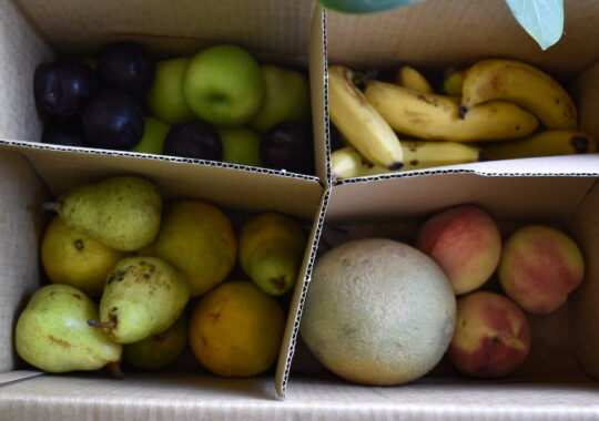 Picture of a Good and Fugly fruit box with the sections of the fruit in four seperate sections of the cardboard box