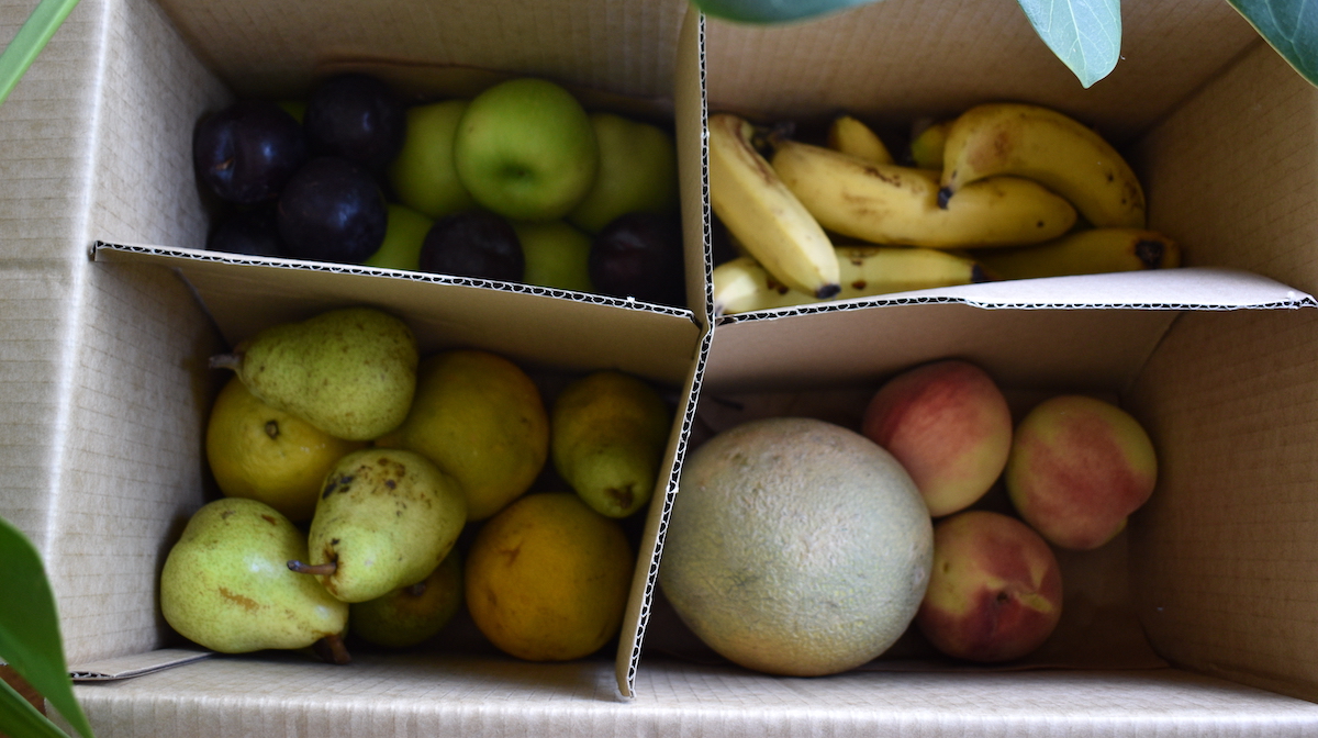 Picture of a Good and Fugly fruit box with the sections of the fruit in four seperate sections of the cardboard box