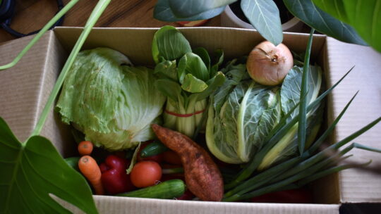 Picture of a fruit and vegetable box from Good and Fugly produce box