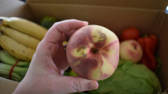 Picture of Good and Fugly vegetable box with a bruised peach being held up in front of produce in the background