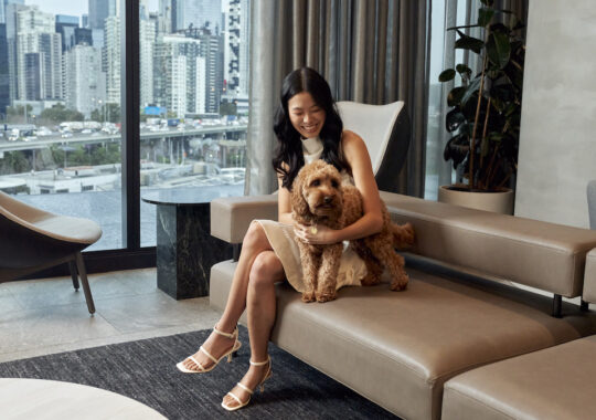 AC Hotel pet portraits