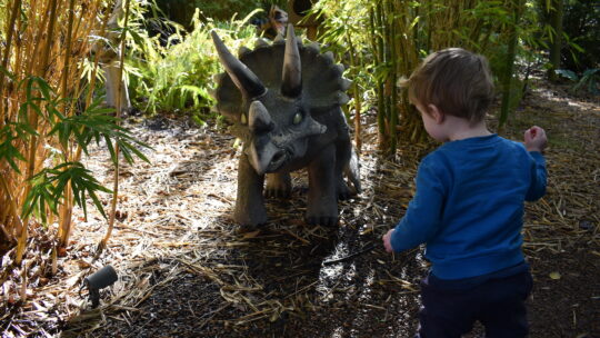 A dinosaur in the garden at Oasis Berry Farm dinosaur garden at Yarra Valley