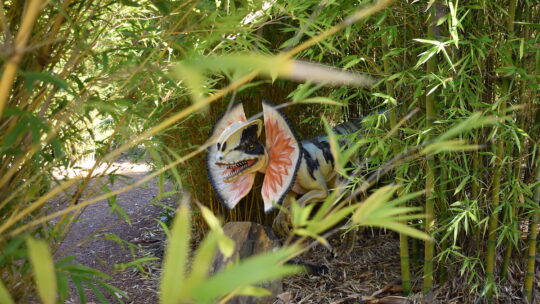 A dinosaur hidden in the bamboo at the Oasis Berry Farm dinosaur garden at Yarra Valley