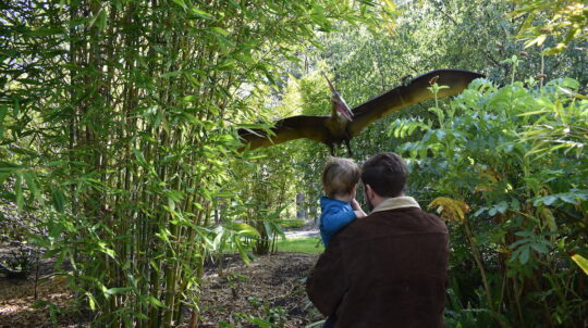 A teridactol dinosaur in the sky at Oasis Berry Farm dinosaur garden at Yarra Valley