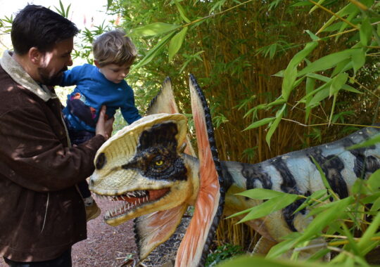 Oasis Berry Farm dinosaur garden