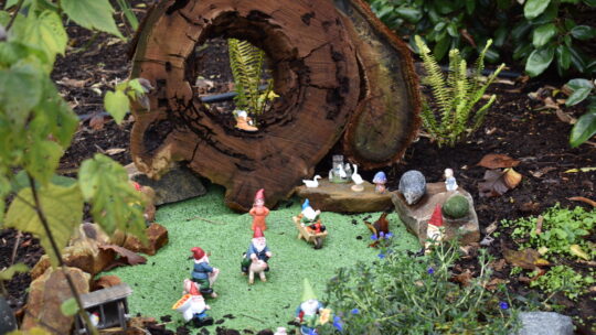 Oasis Berry Farm miniature garden