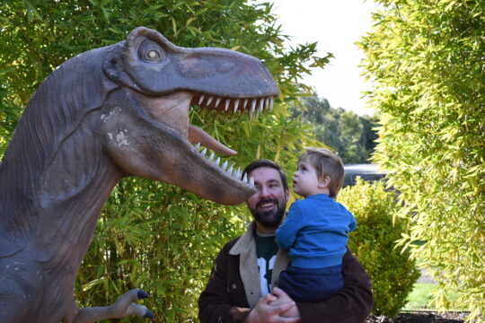 T-Rex at Dinosaur Park at Oasis Berry Farms and toddler looking at it