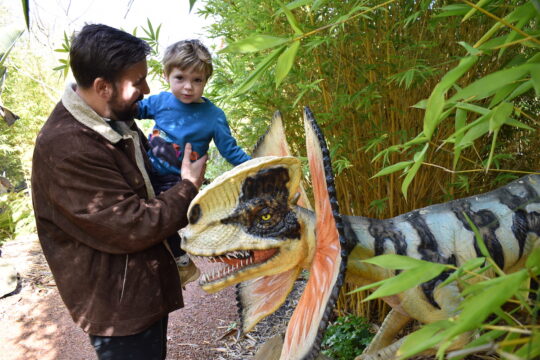 Toddler and father looking at a the dinosaurs at Dinosaur Park at Oasis Berry Farms