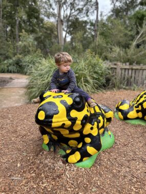 Toddler on a Corroboree Frog at Healesville Sanctuary in Yarra Ranges