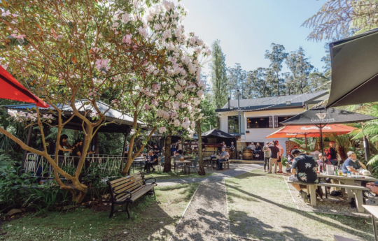 The outside area at Micawber Tavern Belgrave