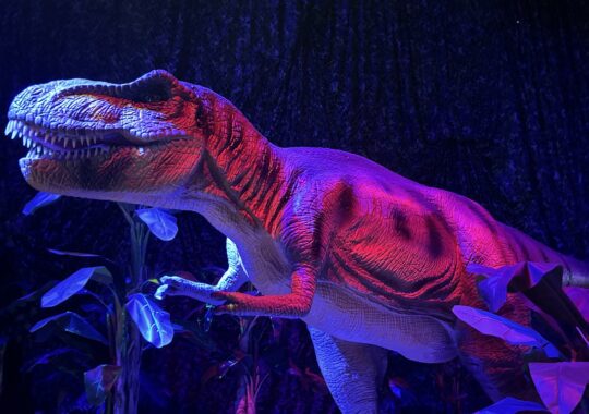 Picture of a T-Rex under red and purple lighting at Dinos Alive in Melbourne