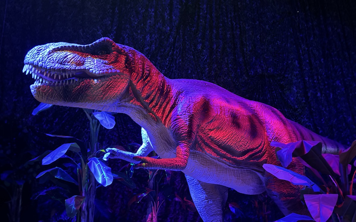 Picture of a T-Rex under red and purple lighting at Dinos Alive in Melbourne