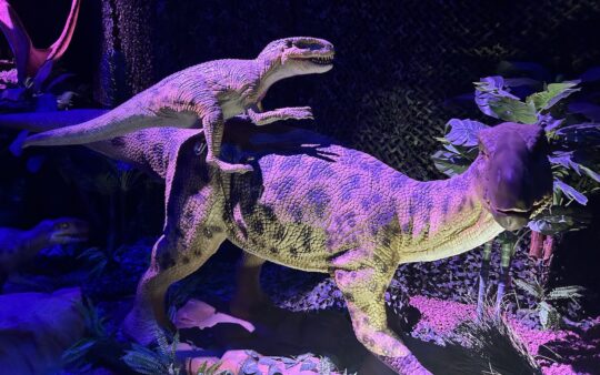 Mother and baby Iguanadon at Dinos Alive in Melbourne