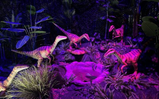 Five dinosaurs grouped together around water, with purple light illuminating the dinosaurs at Dino Alive Melbourne