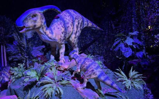 Mother and baby Parasaurolophus sitting on an artificial jungle floor under blue lighting at the Dinos Alive Melbourne