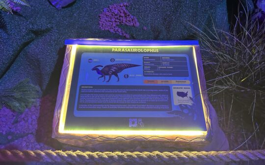 Informational board showing information on the Parasaurolophus, lit around the edges at the Dinos Alive Melbourne