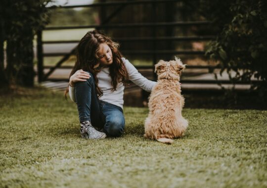 Picture of a girl playing outside in the backyard
